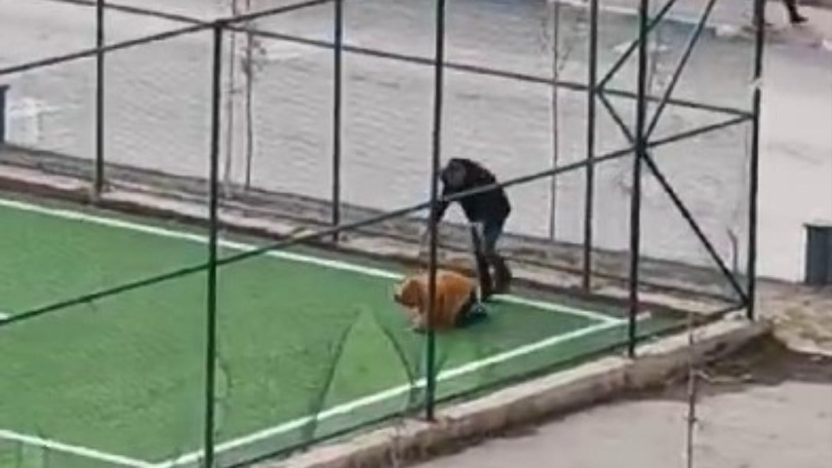 Erzurum’da bir babanın çocuğuna uyguladığı şiddet kamerada: Kafa attı!