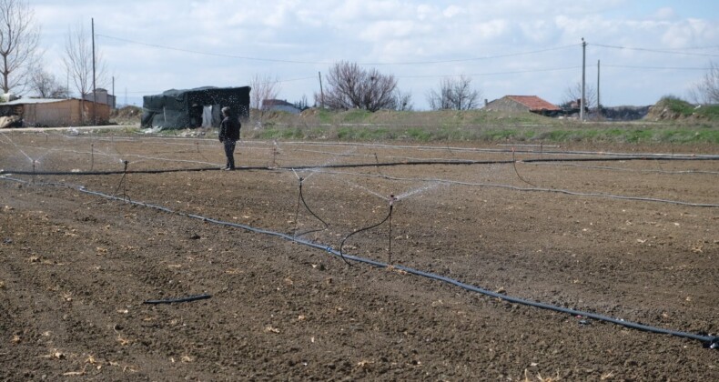 Eskişehir’de çiftçiler en kurak kış nedeniyle tarlalarını 2 ay önceden sulamaya başladı