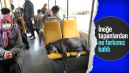Eskişehir’de ilginç hassasiyet: Köpek uyusun diye ayakta seyahat ettiler