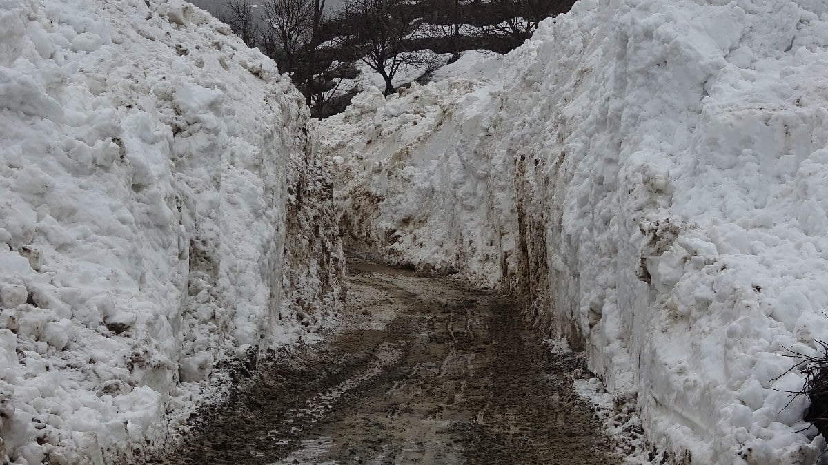 Hakkari’de köye çığ düştü! Temizlemesi 2 gün sürdü