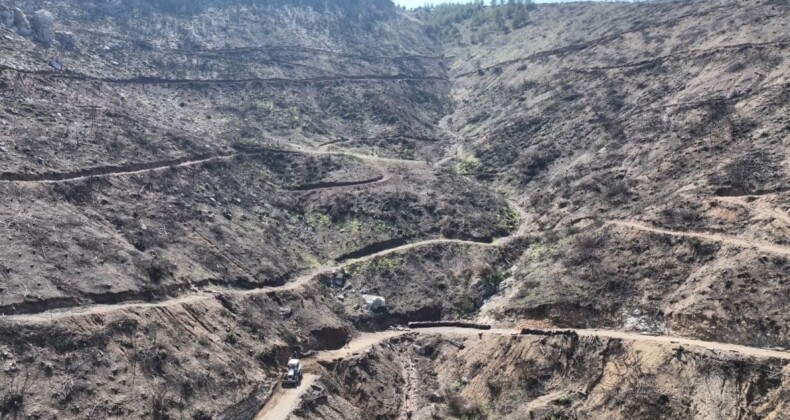 Hatay’da 663 hektar yangın alanı yeniden yeşillendirildi