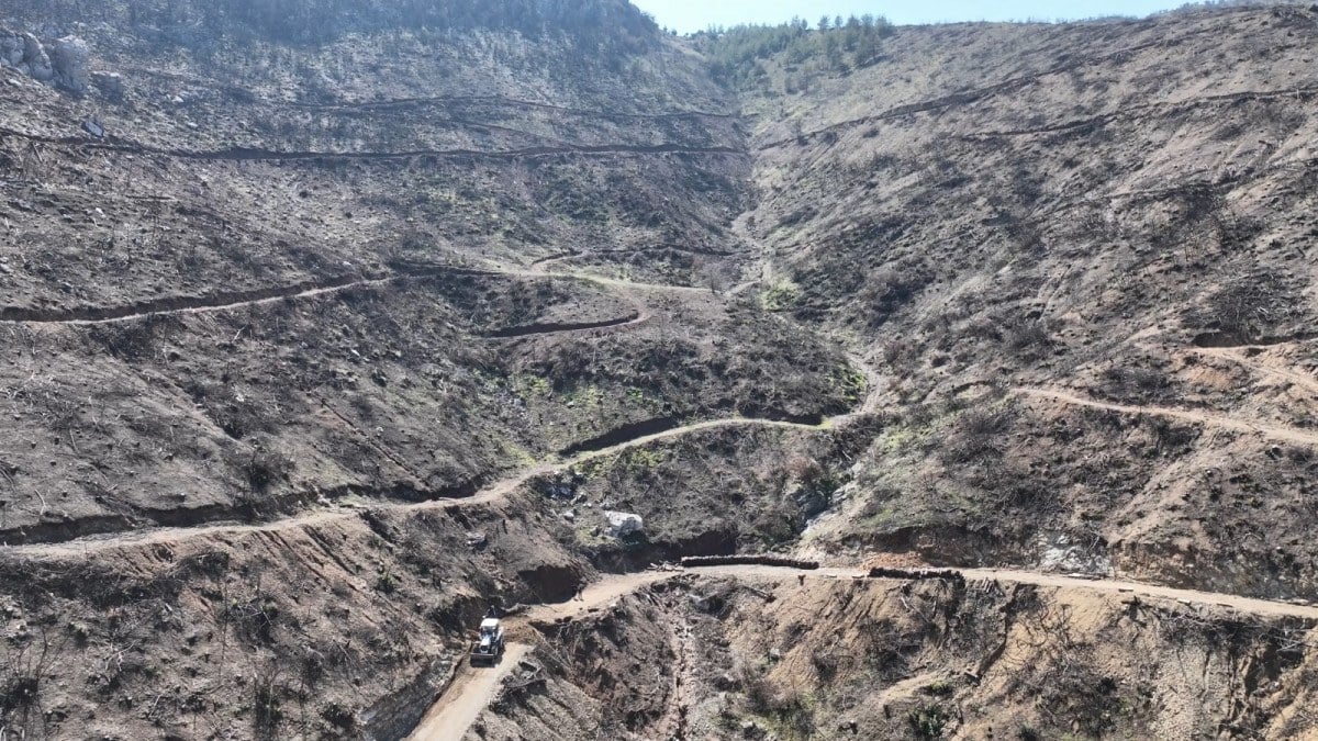 Hatay’da 663 hektar yangın alanı yeniden yeşillendirildi