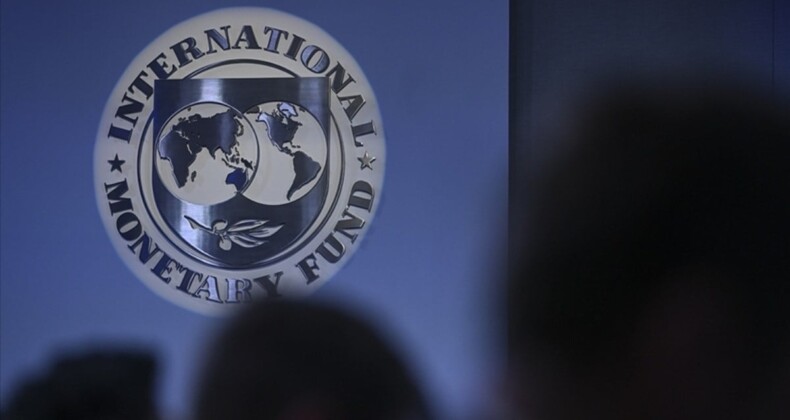 IMF, yeni başkanını nisan sonuna kadar seçecek