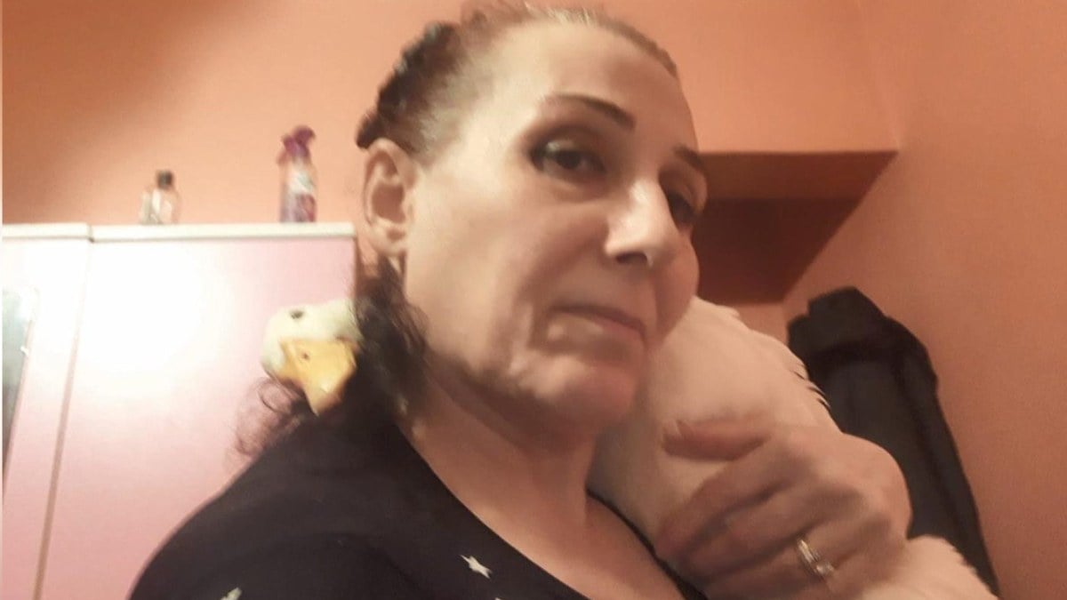 İstanbul’da ördeğine araba çarpan kadın soluğu savcılıkta aldı