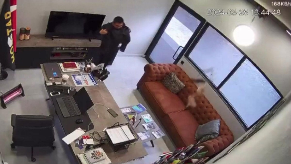 İstanbul’da tavandan düşen yavru kedileri ceketiyle tutmaya çalıştı: O anlar