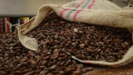 Kakao fiyatları rekor kırmaya devam etti! Çikolata fiyatlarının artması bekleniyor