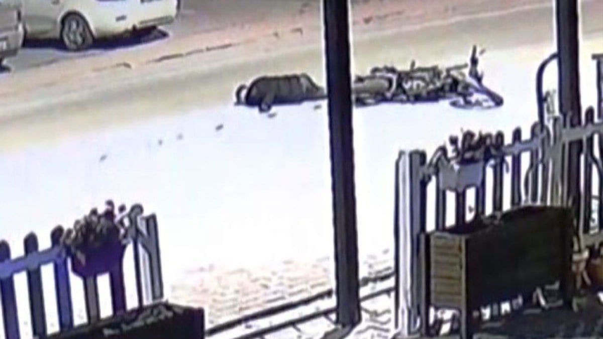 Konya’da 2 motosiklet kafa kafaya çarpıştı: 2 sürücü yaralandı