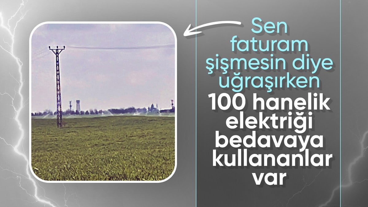 Mardin’de yağmur yağarken kaçak elektrikle tarla sulandı