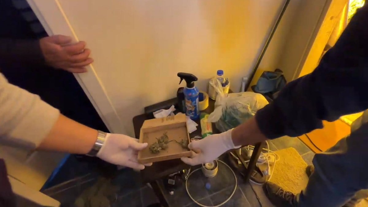 Muğla’da kilolarca uyuşturucuyla yakalandı! “Pes” dedirten savunma