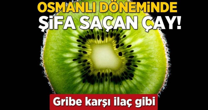 Osmanlı’da şifalı diye bardak bardak içilirdi! C vitamini takviyesinden bile etkiliymiş