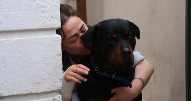 Sakarya’da köpek besleyen kadın sokak köpeğinin saldırısına uğradı: ‘Ölümden döndüm’