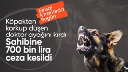 Samsun’da köpekten korkup düşen doktor ayağını kırdı: Mahkeme sahibine 700 bin TL’ye yakın ceza verdi