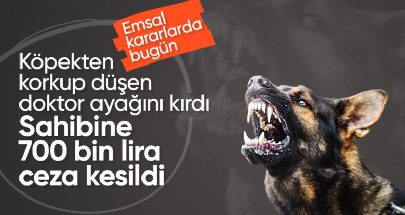 Samsun’da köpekten korkup düşen doktor ayağını kırdı: Mahkeme sahibine 700 bin TL’ye yakın ceza verdi