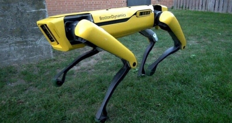 Tarihte bir ilk: Robot köpek silahlı çatışma sırasında vuruldu