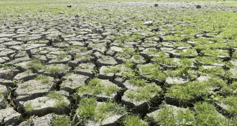 Tehlike sürüyor: Marmara’da yağışlar yüzde 56 azaldı