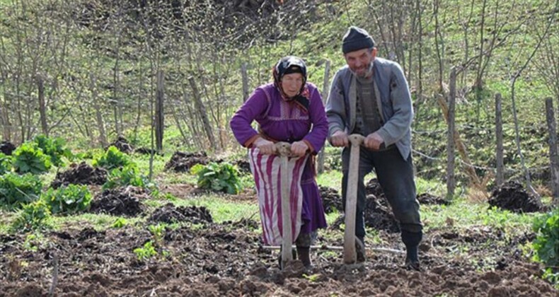 TZOB Başkanı Şemsi Bayraktar: Kırsal nüfusun oranı yüzde 23’e geriledi