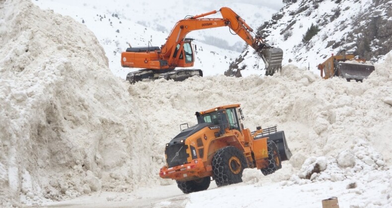 Van’da 10 ayrı bölgeye düşen çığ yolları geçişe kapattı