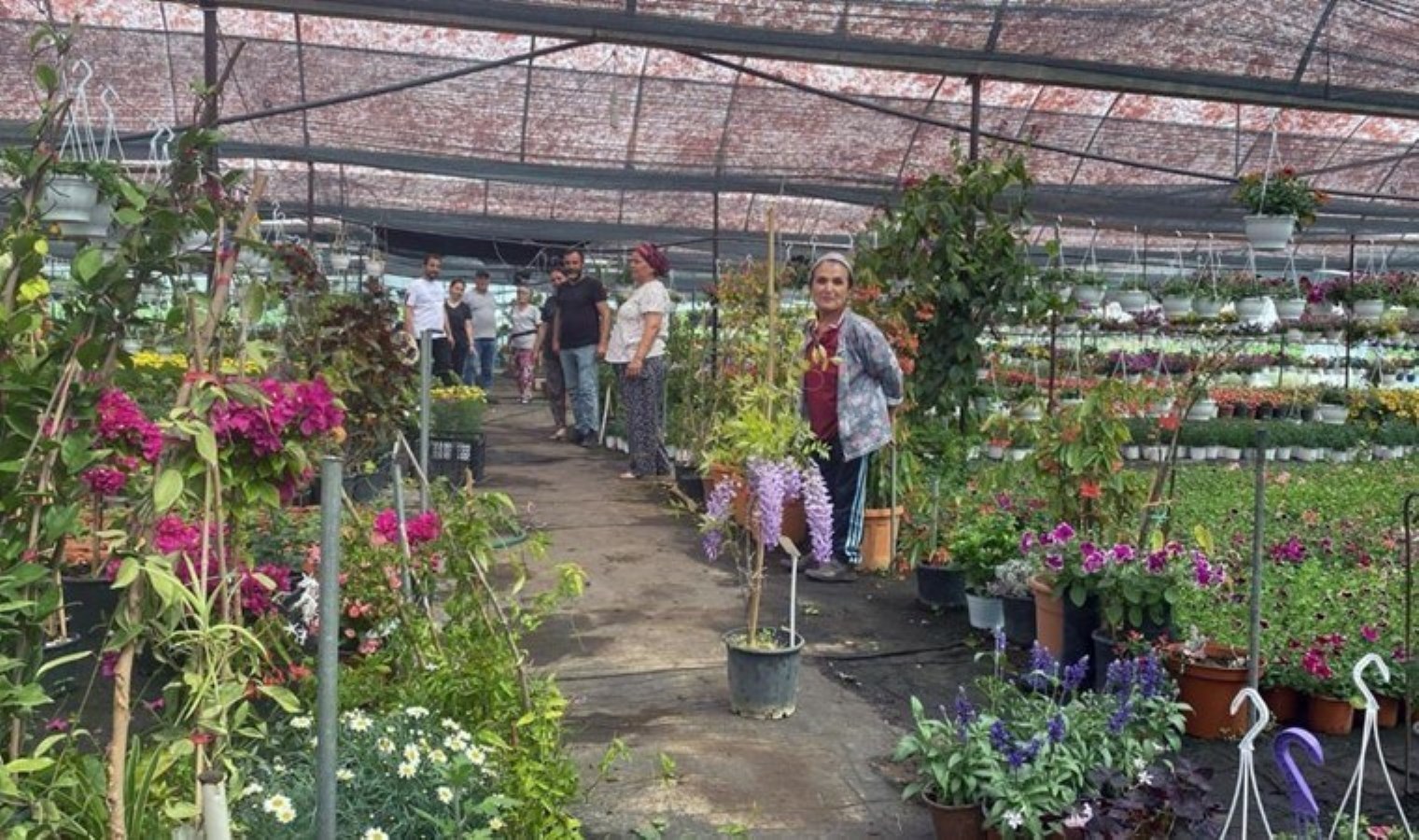 3 sera ile başladılar artık dönemde 1 milyon eser hedefliyorlar! Piyasa bedeli 50 milyon TL