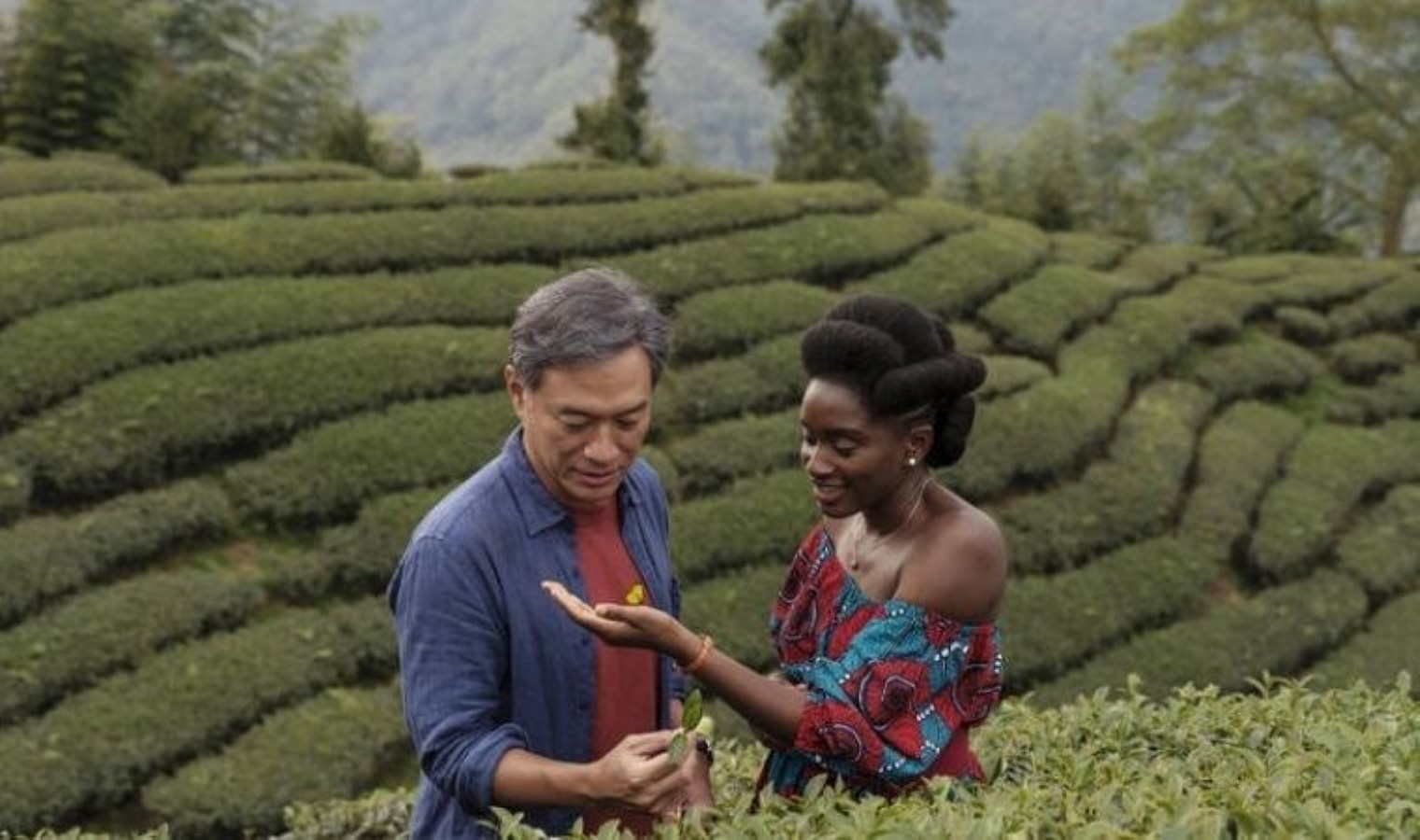 Abderrahmane Sissako’nun Siyah Çay ve Luca Guadagnino’nun Rekabet sinemaları vizyonda: Daha uygun bir Dünya’ya hakikat