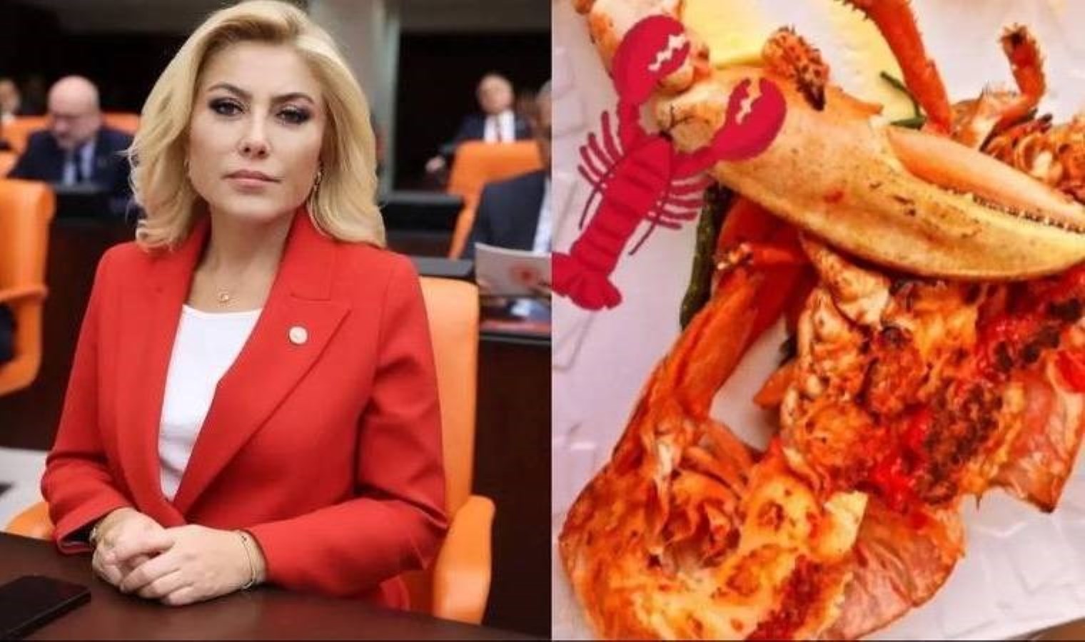 AKP’li Şebnem Bursalı’dan ‘ıstakoz’ tenkitlerine cevap: ‘Gündem değiştirmeye yönelik’