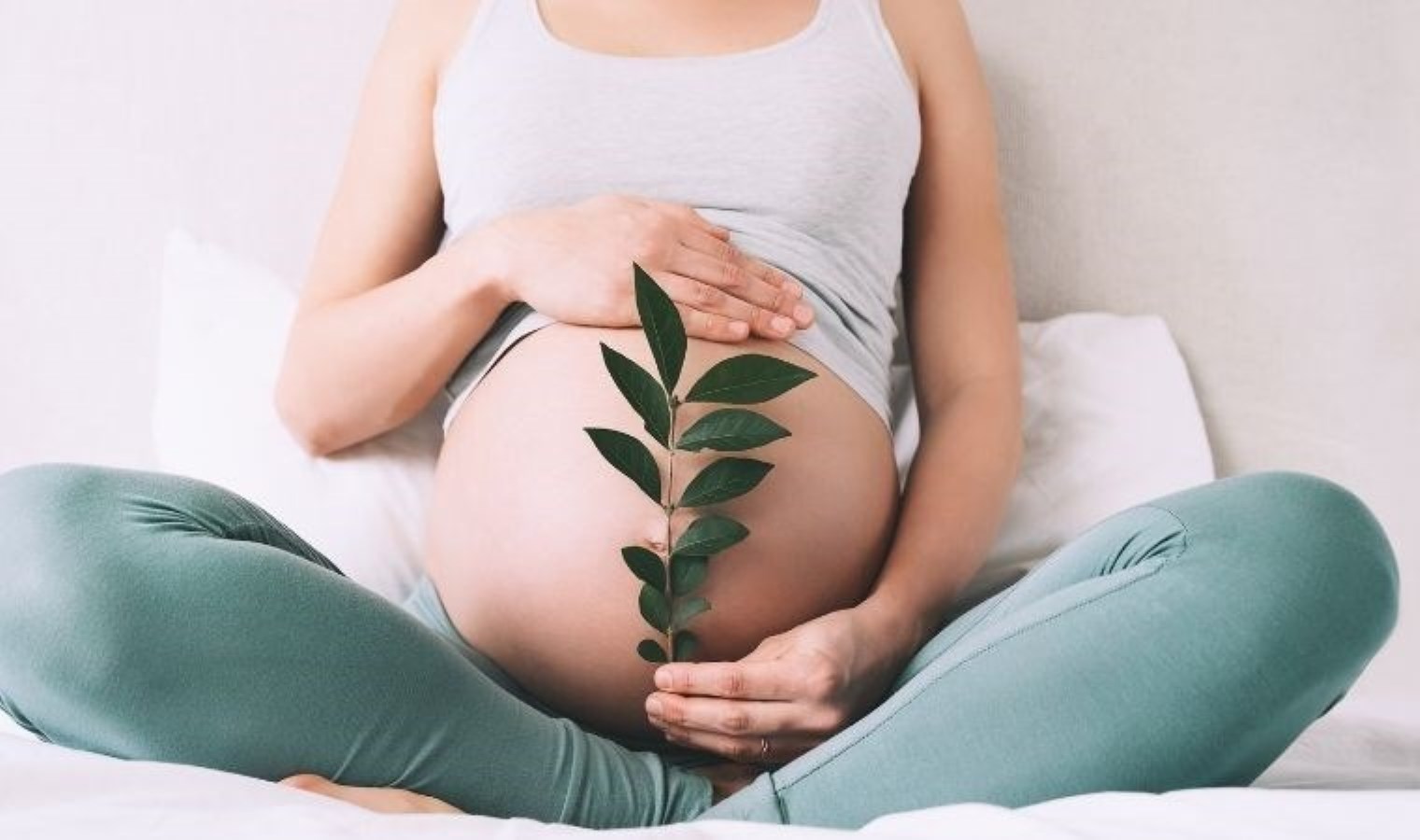 Annelere 325 euro dayanak ödemesi müracaatları nasıl yapılacak? Annelere 325 euro takviye ödemesi müracaat kaideleri neler?