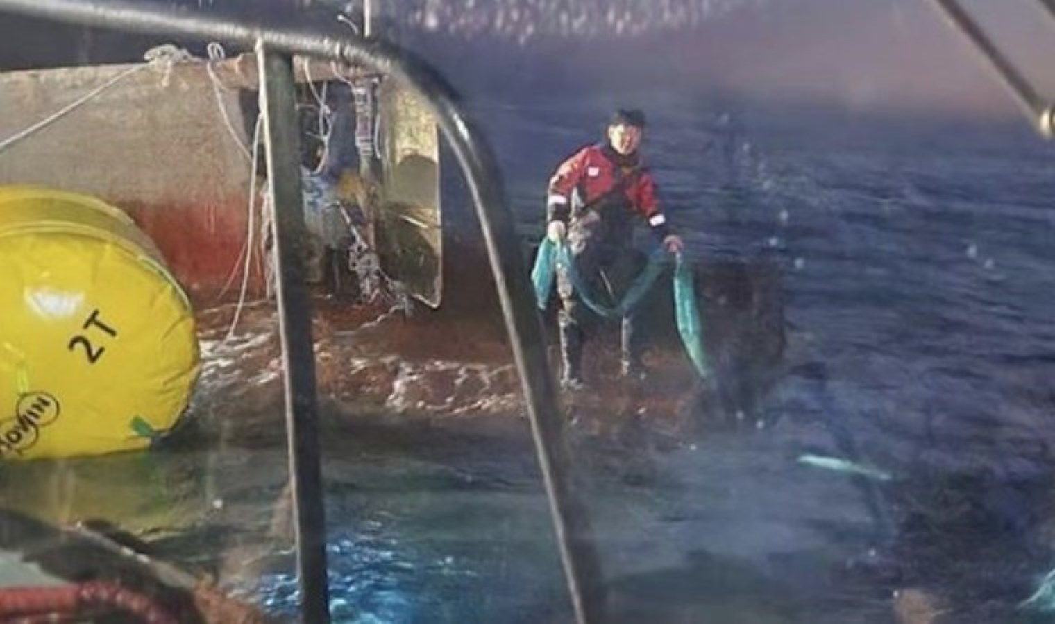 Balık avı yasağı ne vakit başlıyor? Av yasağı ne vakit sona erecek?