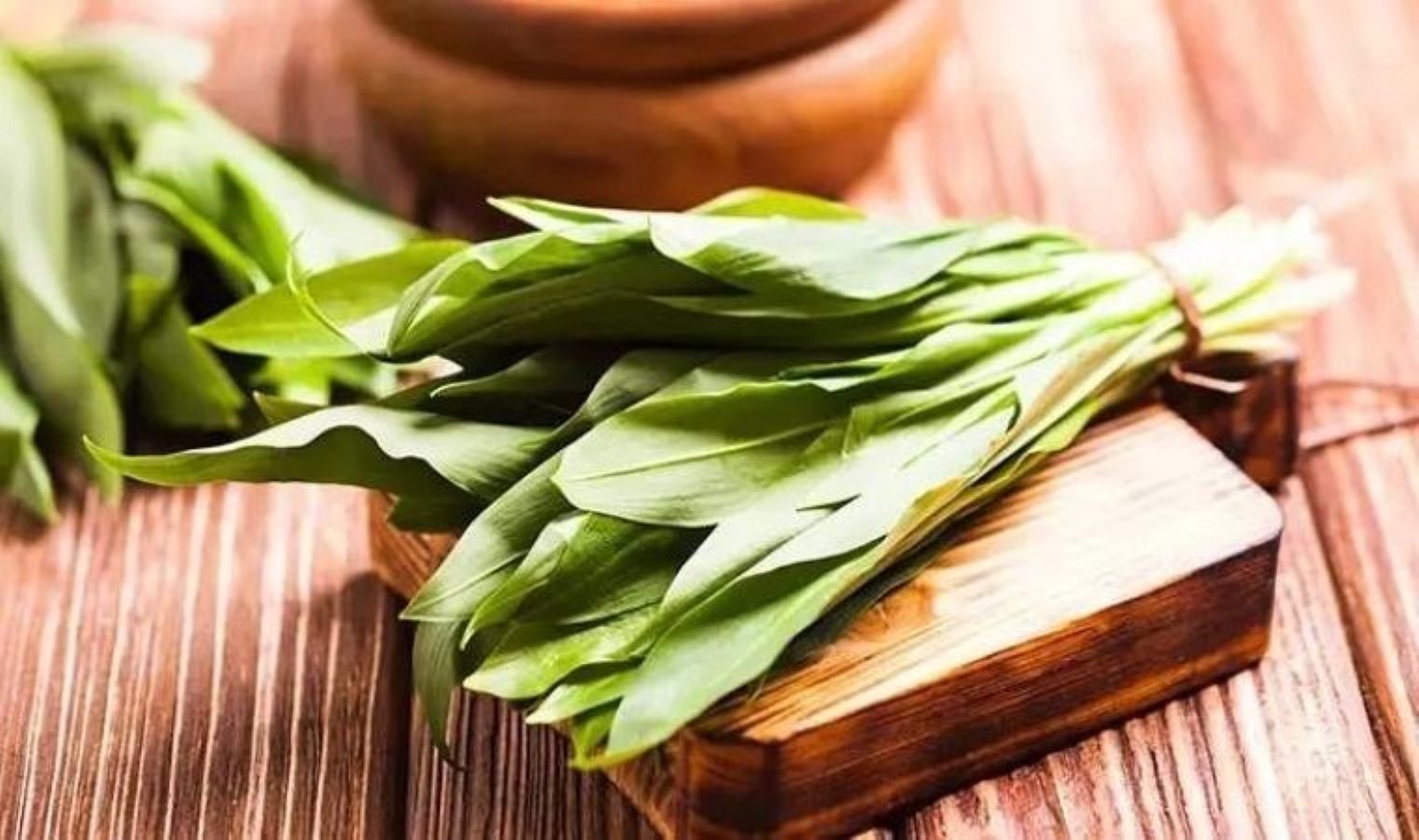 Bedeni enfeksiyonlardan temizleyen mucizevi ot: Çiriş otu ve bilinmeyen yararları…