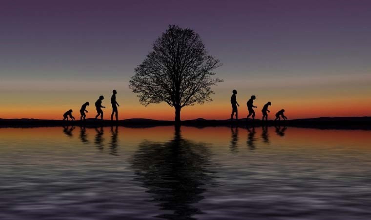 Bilim insanları açıkladı: Evrimin insan vücudunda körelttiği 7 organ!