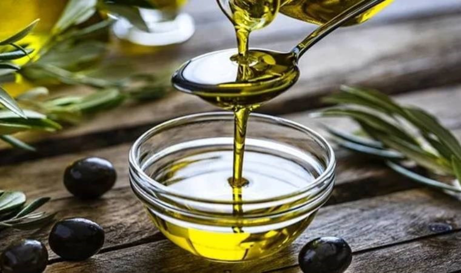 Bursa’da 3 bin 800 litre geçersiz zeytinyağı ele geçirildi