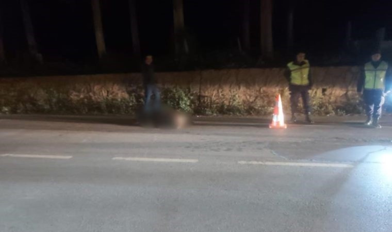 Bursa’da tır domuza çarptı