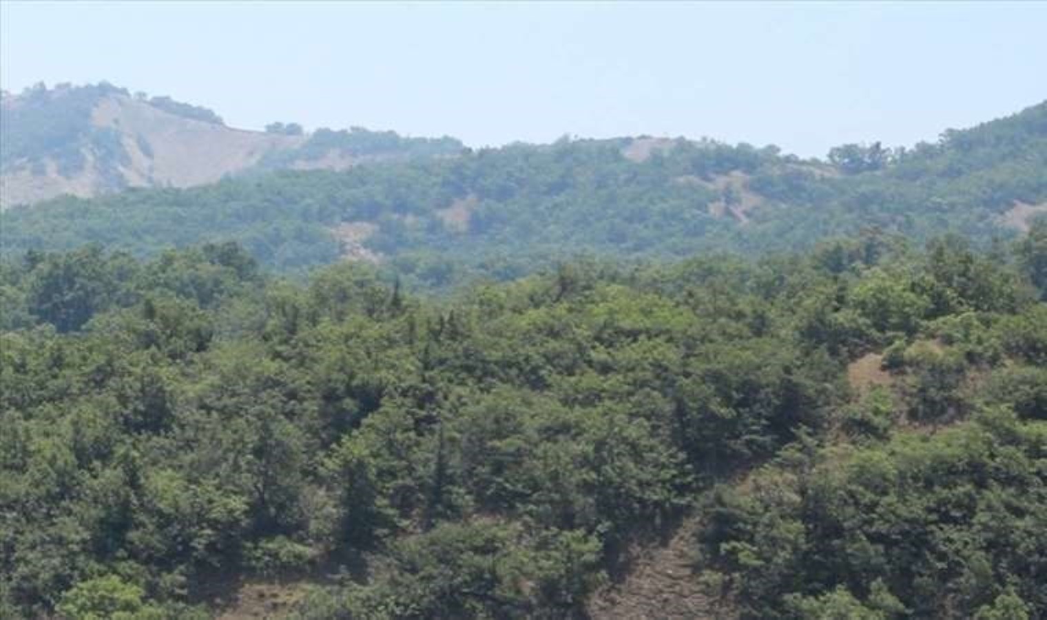 Çanakkale Valiliği’nden ‘orman yangını’ uyarısı