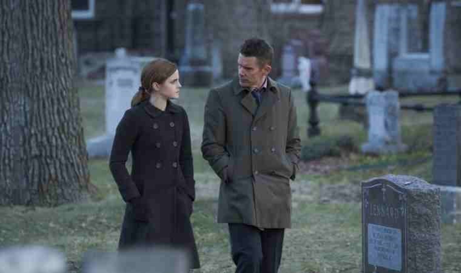 Dehşet Terapisi sinemasının konusu ne? Dehşet Terapisi sinemasının oyuncuları kim?