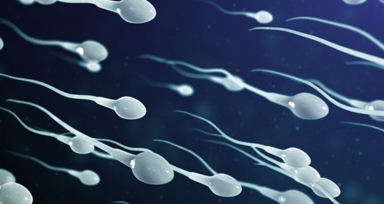 Dünyanın en büyük sperm bankası, bir ülkede daha şube açtı