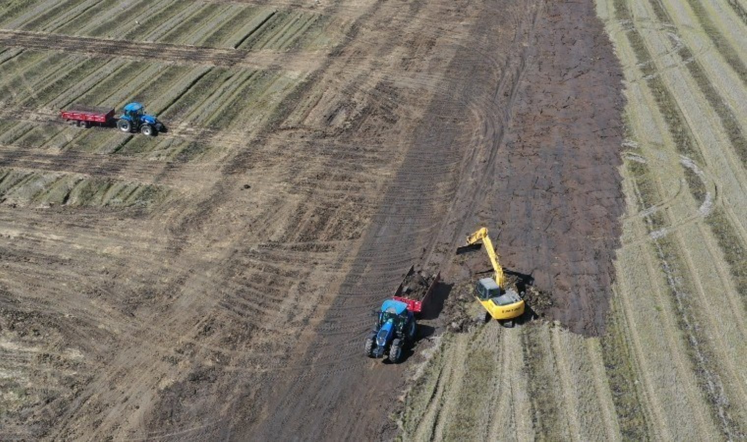 Edirne’de şiddetli mesai başlıyor: Mayısta ekilecek, eylül ayında hasat edilecek…