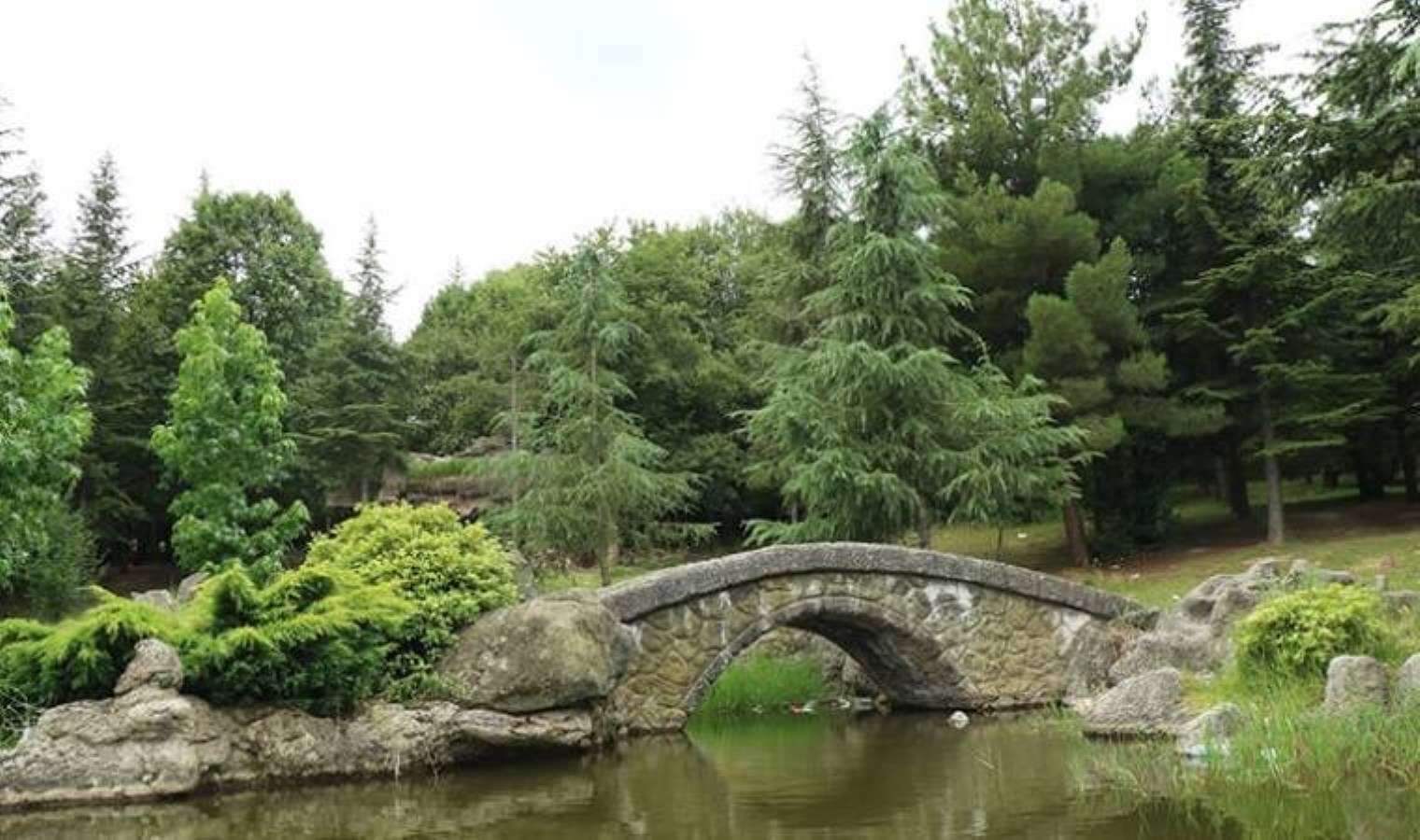 ‘Halk buluşmasıyla’ tabiat kıyımı protestosu