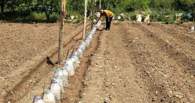 Hisarcıklı çiftçi pet şişelerden sera yapıyor