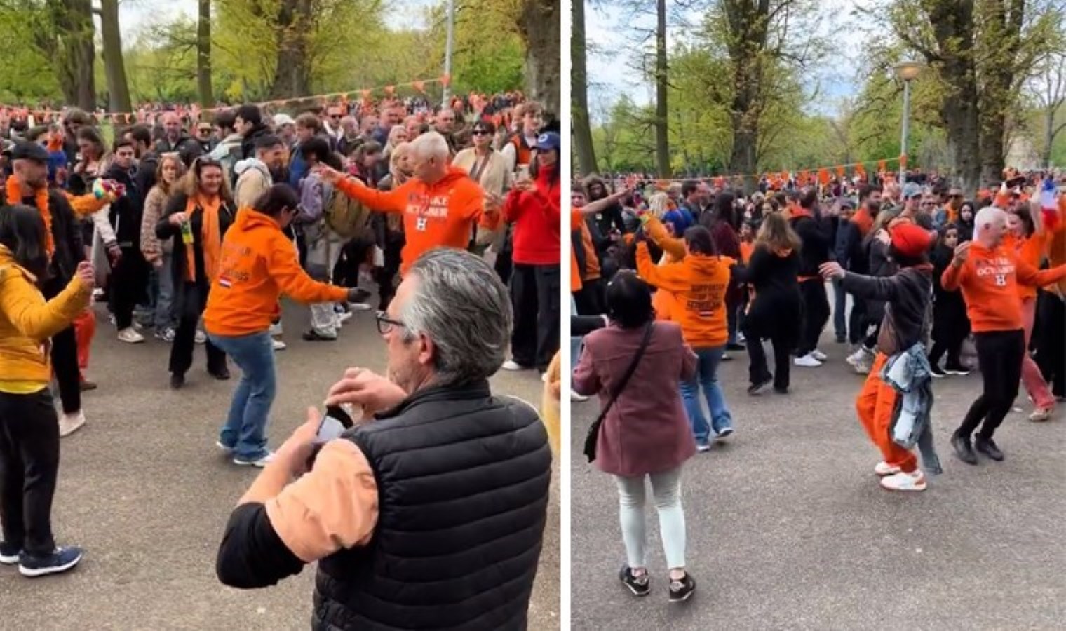 Hollanda’da hükümdarın doğum günü ‘Erik Dalı’ ile kutlandı