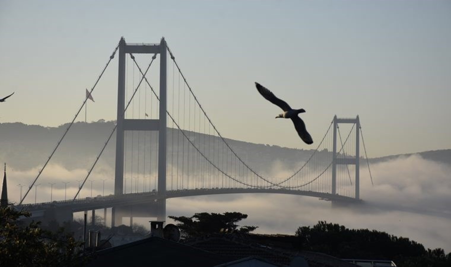 İstanbul Boğazı’nda gemi trafiği askıya alındı: Birtakım vapur seferleri iptal oldu