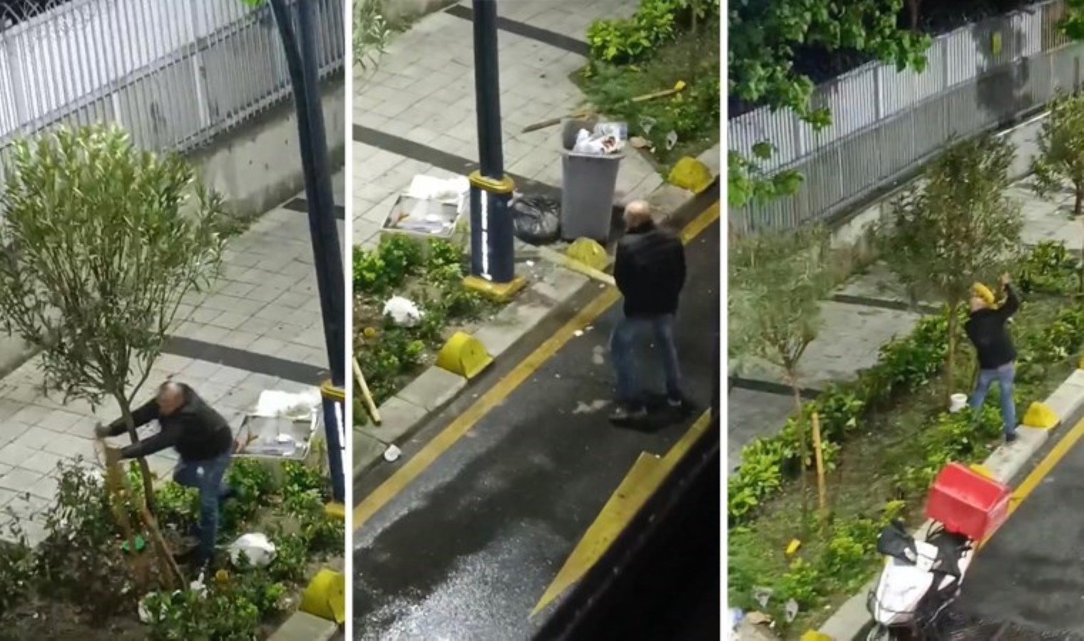 İstanbul’da bir kişi ağaçla ‘kavga’ etti: O anlar kamerada