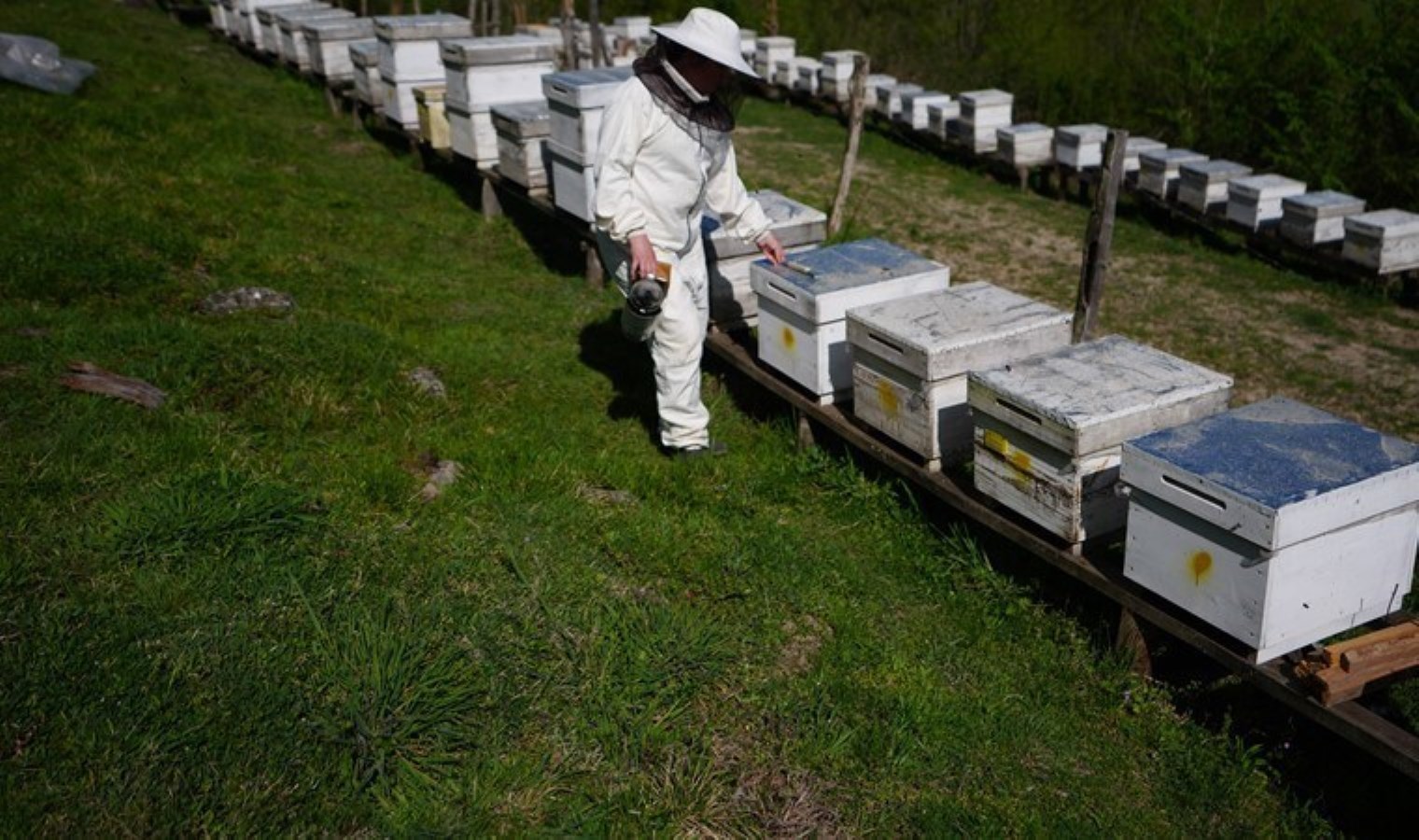 İstanbul’da üst seviye yöneticiyken köye yerleşti: 5 kovan ile başladı artık 65 kovan ile üretim yapıyor