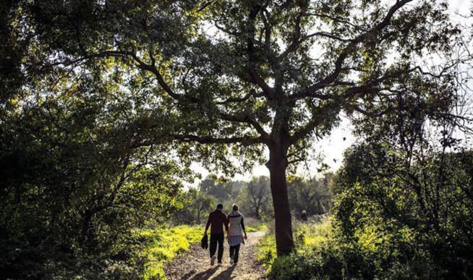 Kadıköy Belediyesi’nden Üsküdar Belediyesi’ne davet: ‘Validebağ’da buluşur muyuz?’