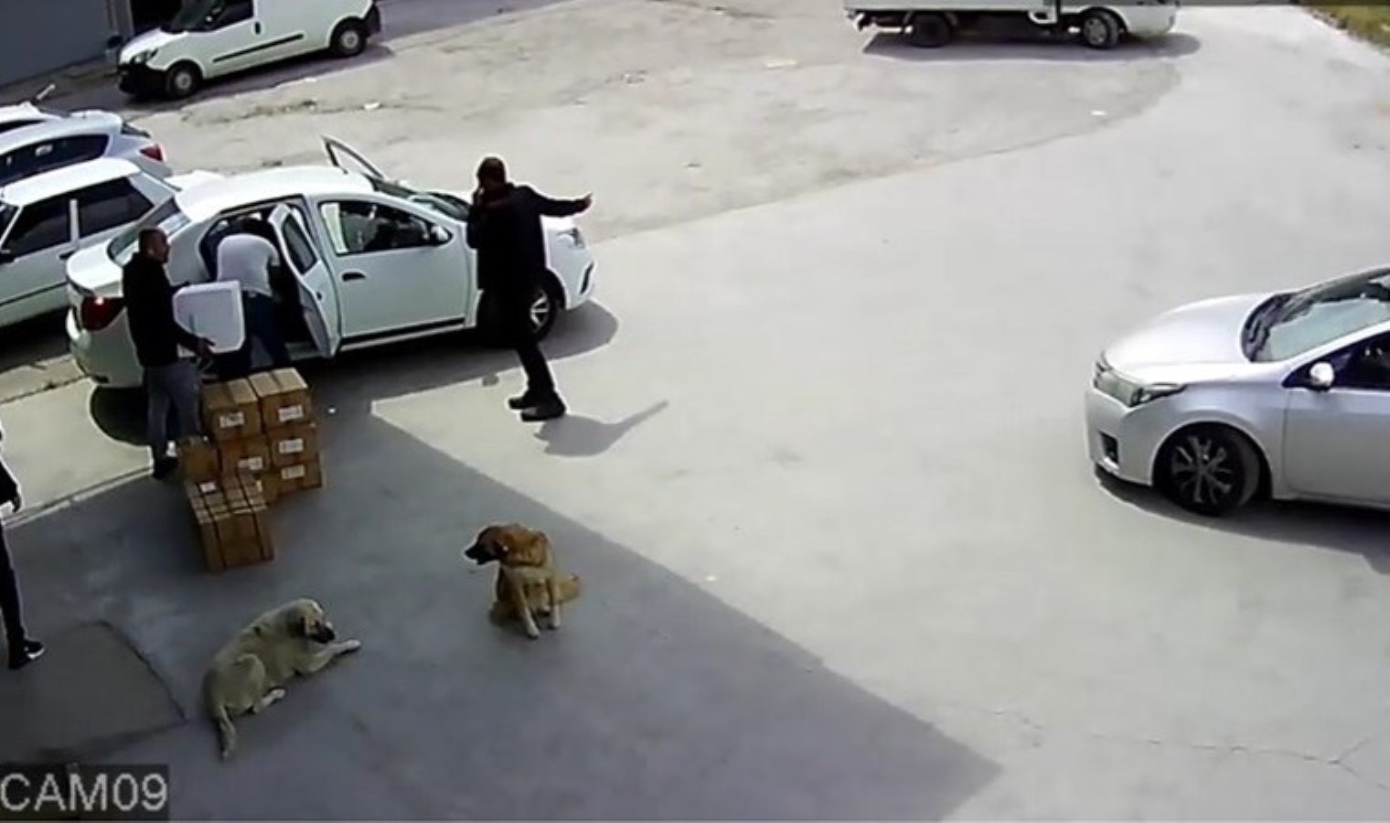 Kargo firması şubesine operasyon: Uyuşturucu ele geçirildi!