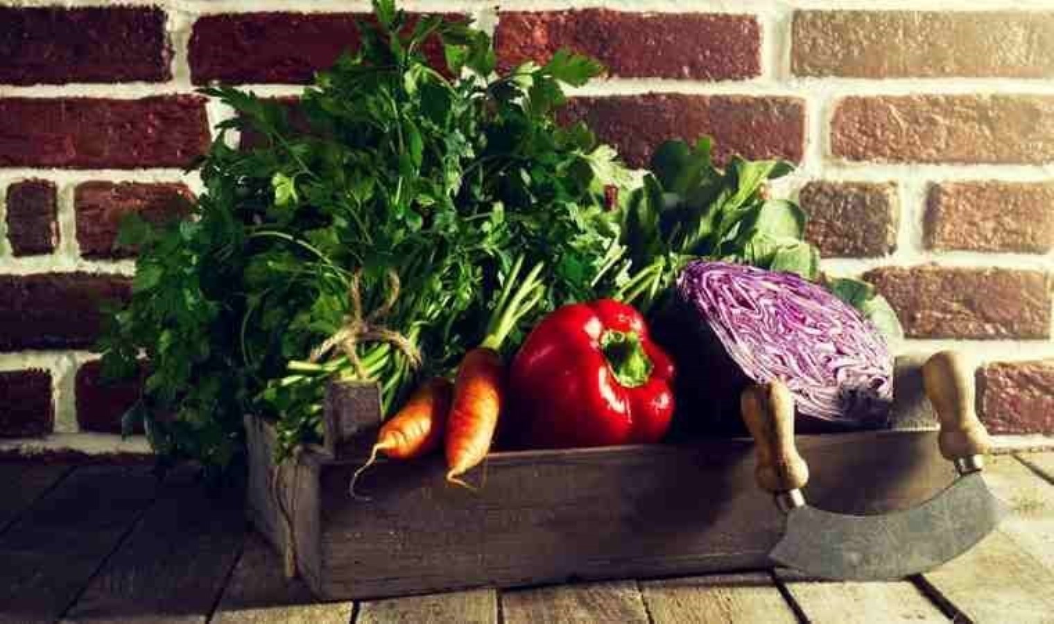 Kendi gıdanızı yetiştirirken yapılan 5 yanılgı…