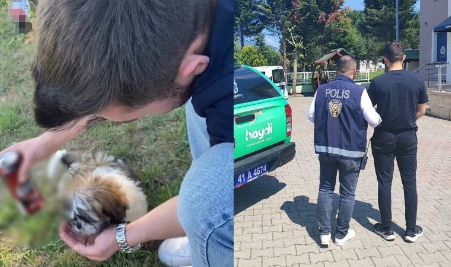 Köpeğe alkol içirip, toplumsal medyada paylaştı!