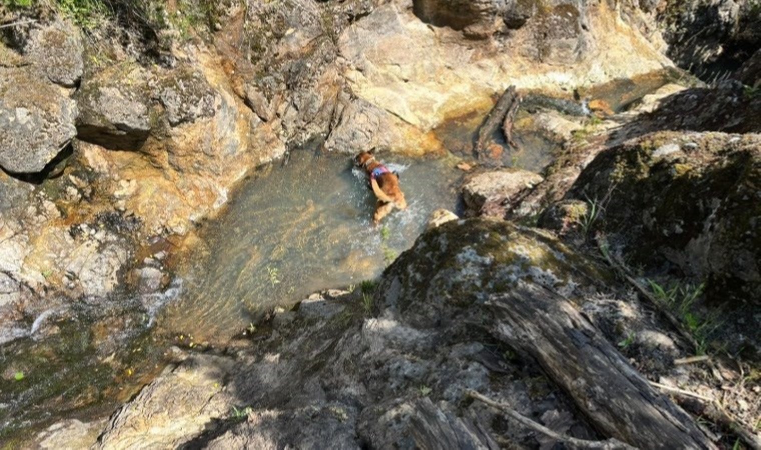 Korhan Berzeg’in kafatasına ilişkin olduğu bedellendirilen parça bulundu