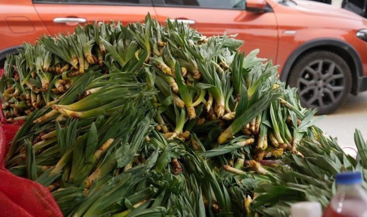 Lezzet ve şifa deposu! Tabiatta resen yetişiyor: Kilosu 50 TL