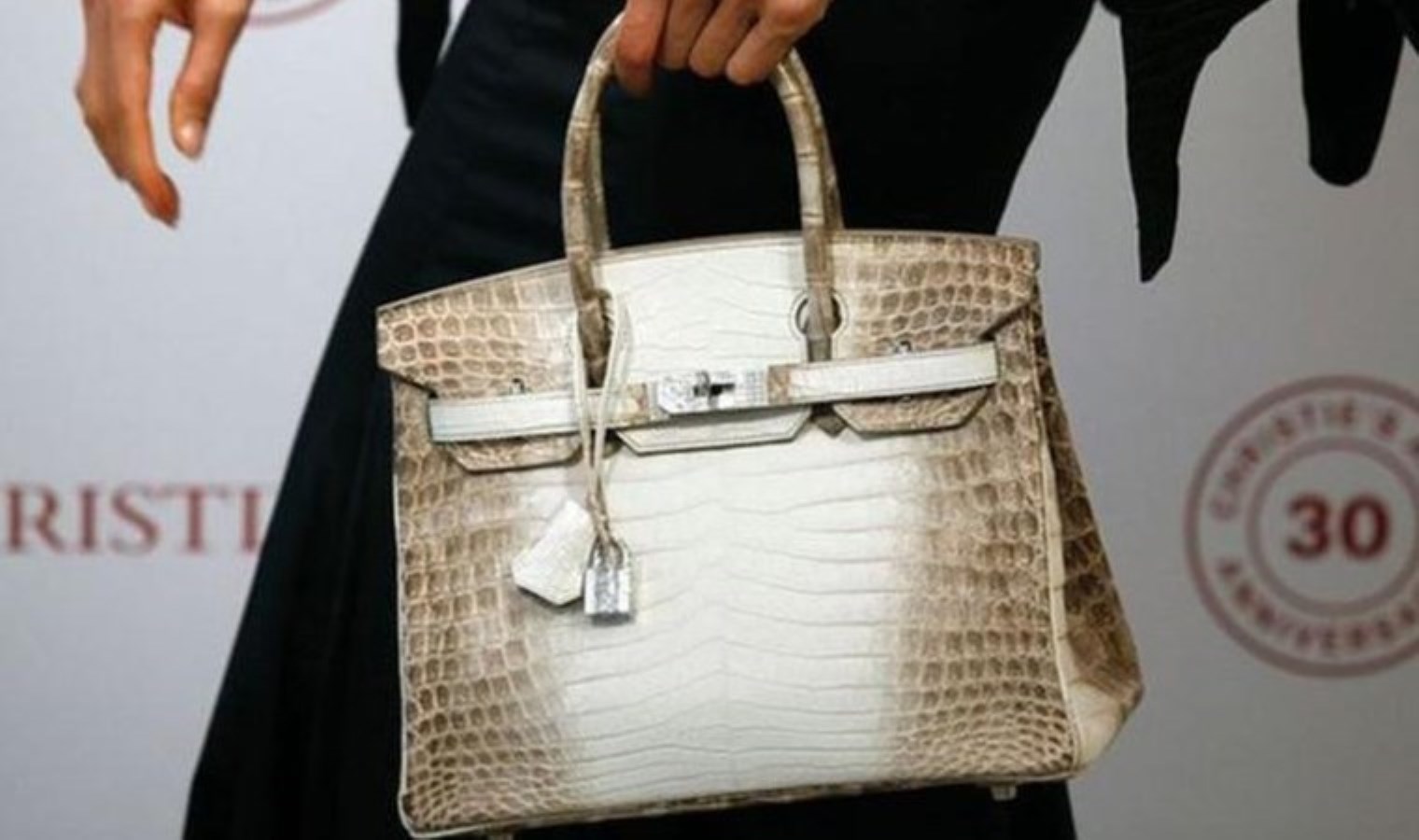 Lüks giysi markası Hermes, Birkin çantaları yüzünden davalık oldu!