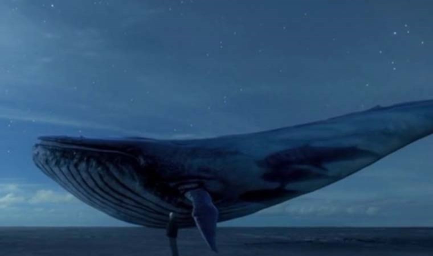 Mavi Balina oyunu nedir? Aileler Mavi Balina oyununa karşı hangi tedbirleri almalı?