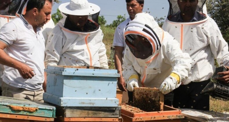 Mersin’de yılın birinci hasadı başladı: 3 bin 500 ton üretim