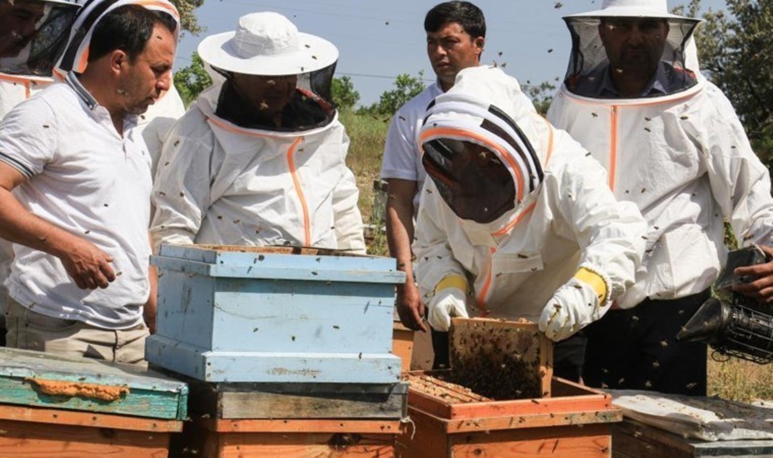 Mersin’de yılın birinci hasadı başladı: 3 bin 500 ton üretim